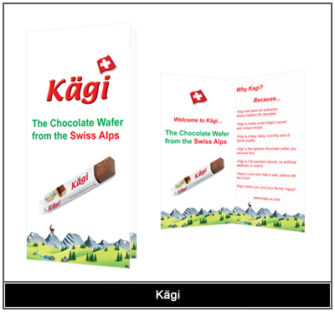 Distribution Company Brochure Design