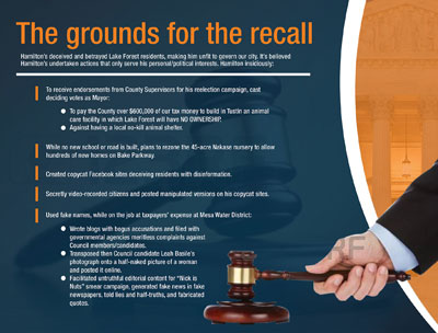 political campaign advertising