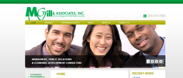 consulting web design