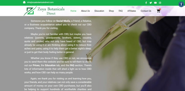 ecommerce web development