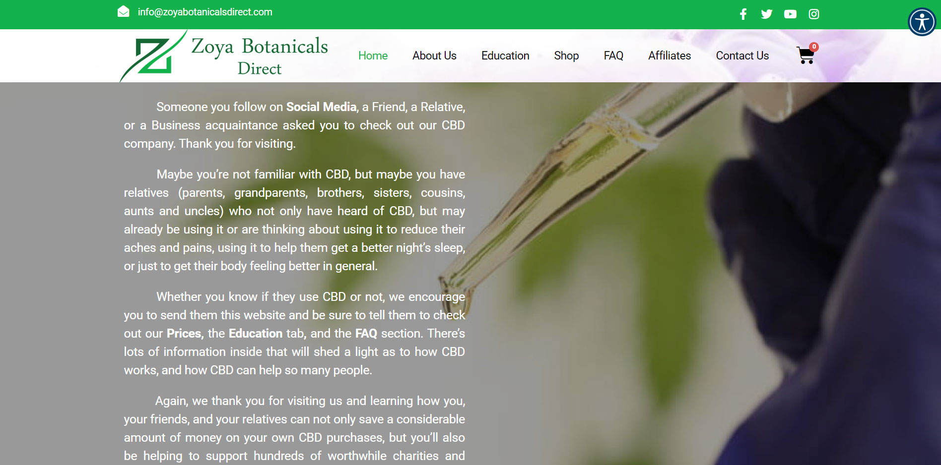 ecommerce web development