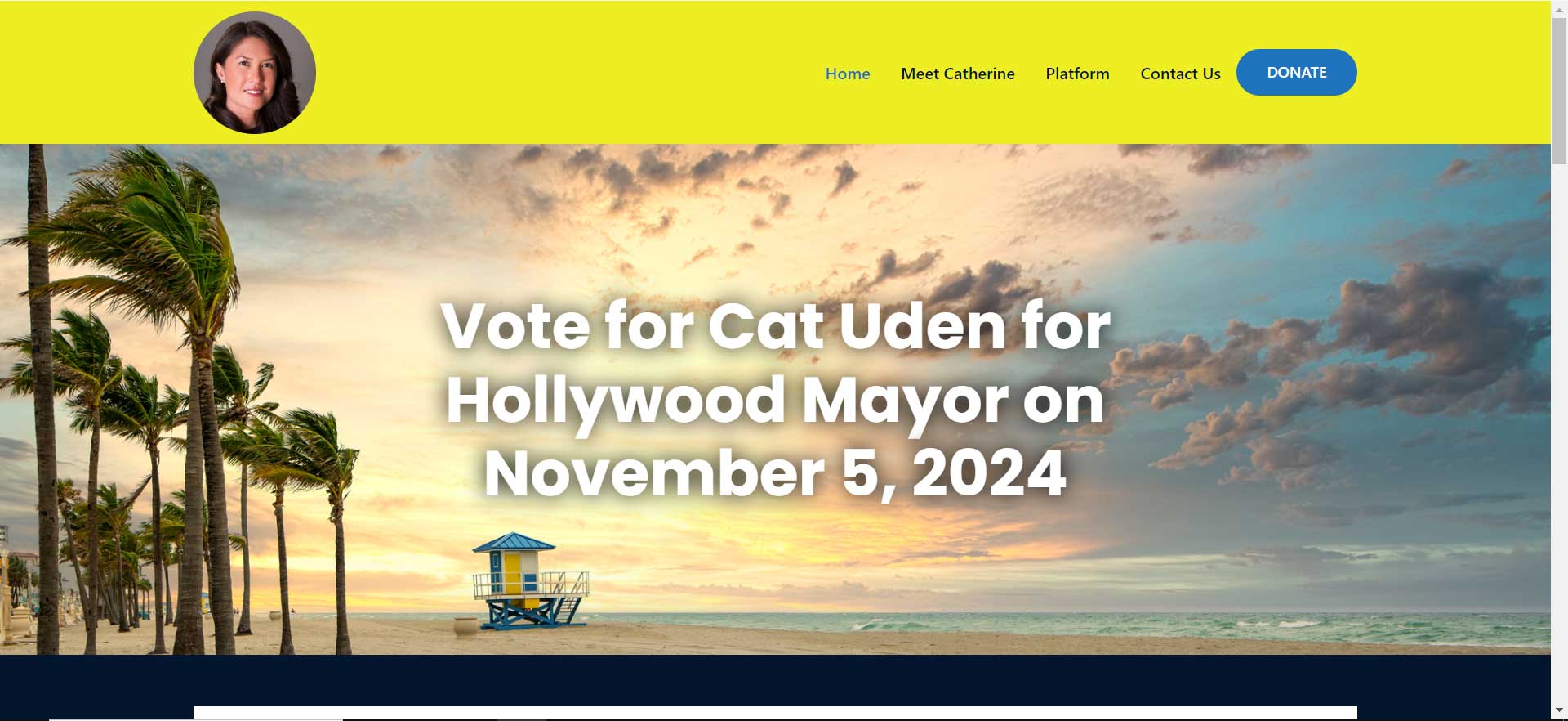 political web design